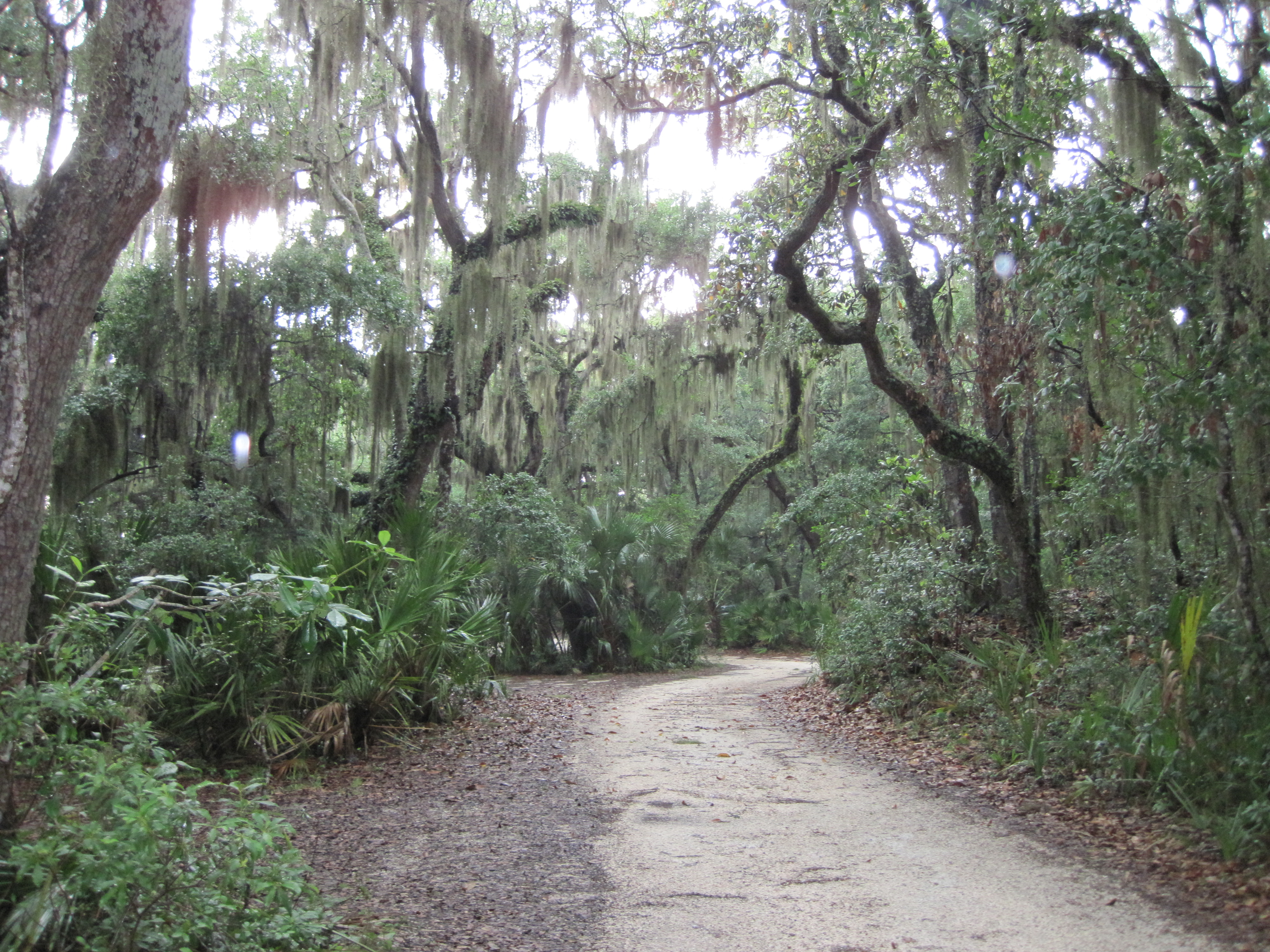 Hiking Safely In The High Humidity Of Florida Northwest Florida 