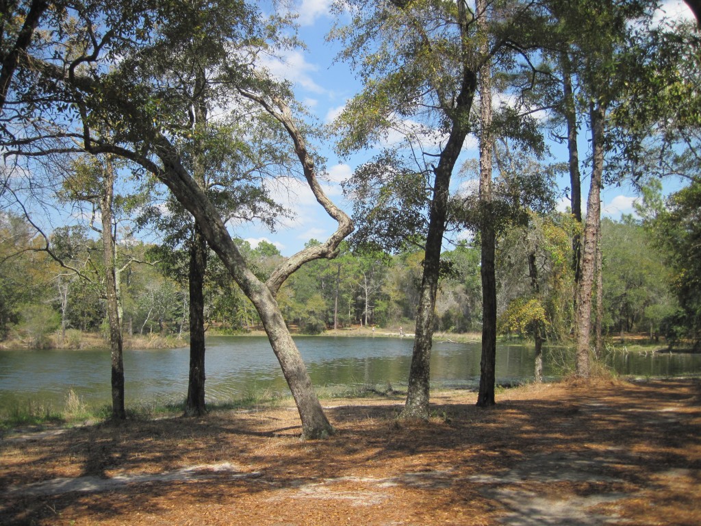 Biking and Hiking in Fort Walton Beach, Fla | Northwest Florida Outdoor ...