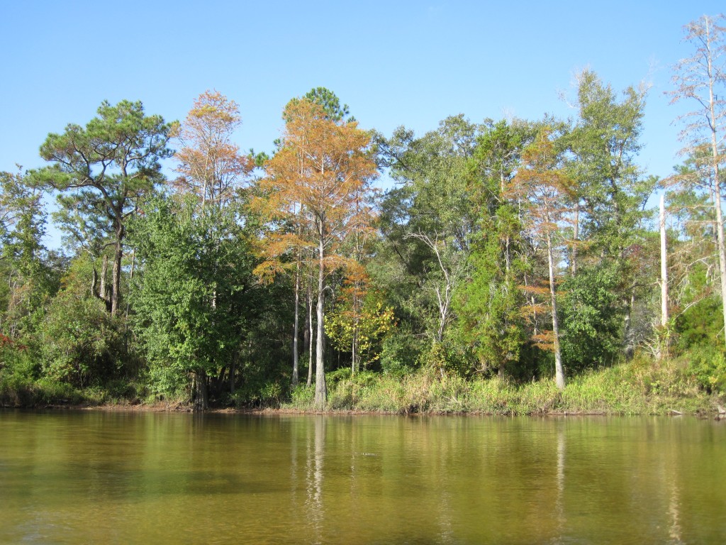 Canoeing on the Perdido River near Pensacola, Florida | Northwest ...