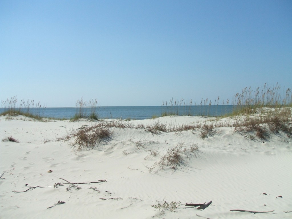 Kayaking at St. Vincent Island on Florida's Forgotten Coast | Northwest ...