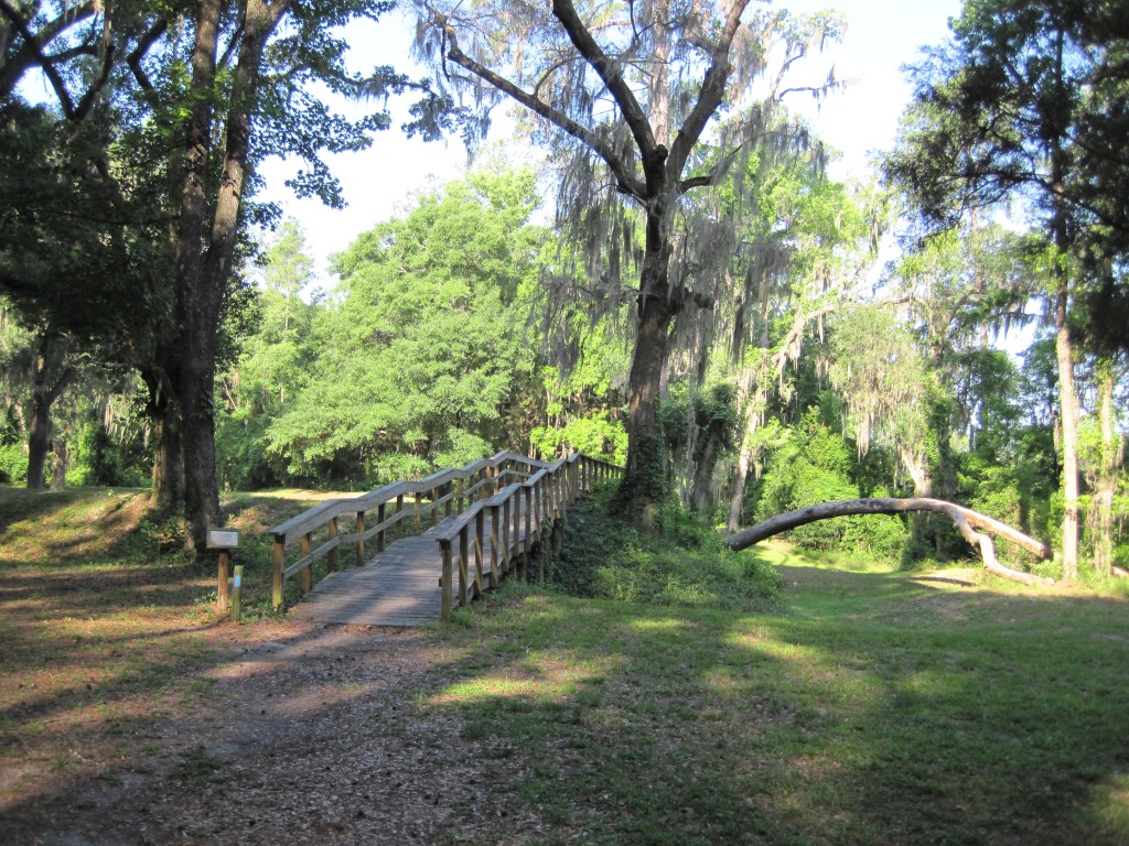 Hiking At Suwannee River State Park Florida Northwest Florida Outdoor Adventure