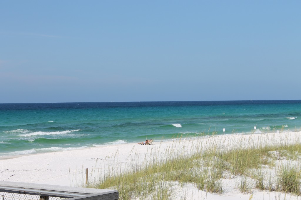 Exploring Henderson Beach State Park in Destin, Florida | Northwest ...