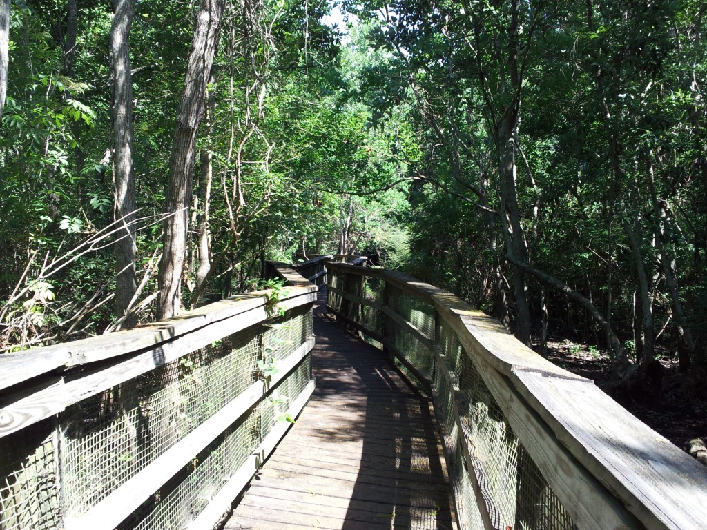 A Short Visit to Glenwood Park in Cinco Bayou, FL | Northwest Florida ...