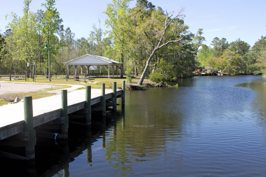 Alaqua Creek Park | Northwest Florida Outdoor Adventure