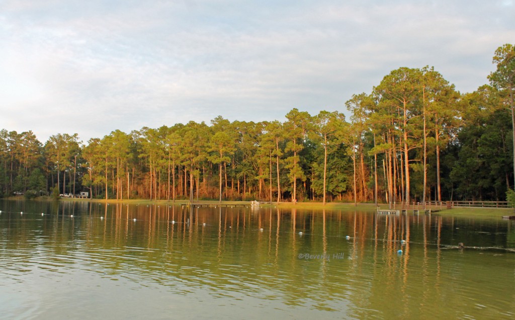 Hiking On The Sweetwater Trail In Blackwater River State Forest