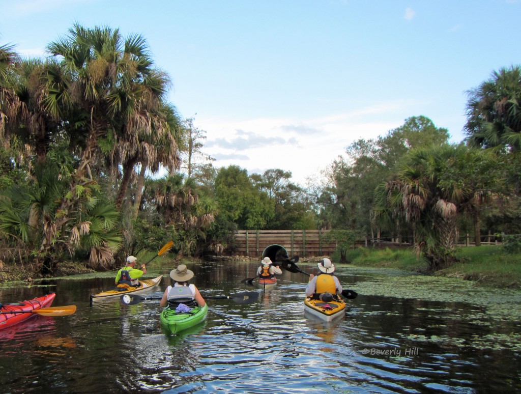 Kayaking on the Loxahatchee River near Jupiter, Fla | Northwest Florida ...