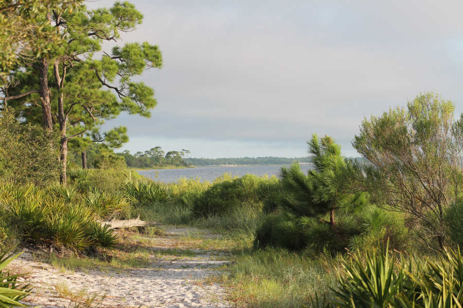 Florida	St. Joseph Peninsula State ParkTitle