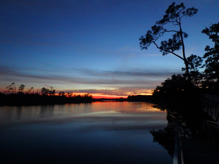 Ochlockonee River State Park Revisited Northwest Florida Outdoor