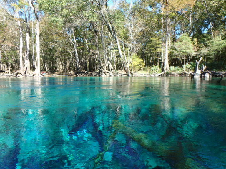 Kayaking Cypress Spring on Holmes Creek, Vernon FL | Northwest Florida