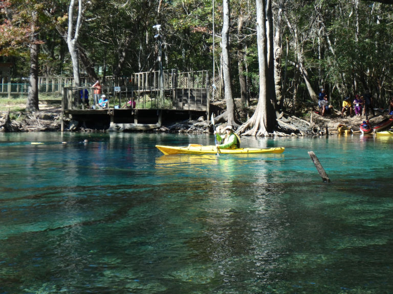 Kayaking Cypress Spring on Holmes Creek, Vernon FL Northwest Florida Outdoor Adventure